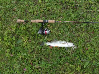 �������, ����� ���������� � ������ ������