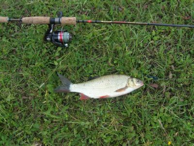 �������, ����� ���������� � ������ ������