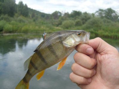 �������, ����� ���������� � ������ ������