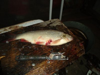 �������, ����� ���������� � ������ ������