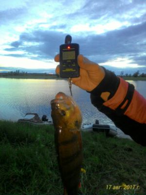 �������, ����� ���������� � ������ ������