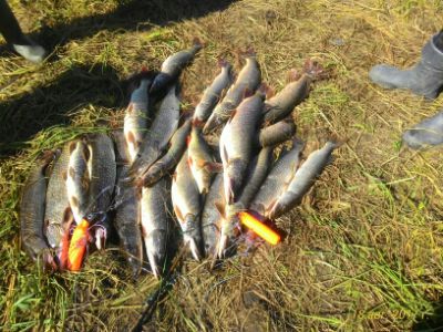 �������, ����� ���������� � ������ ������