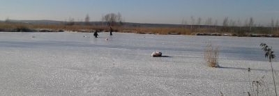 �������, ����� ���������� � ������ ������